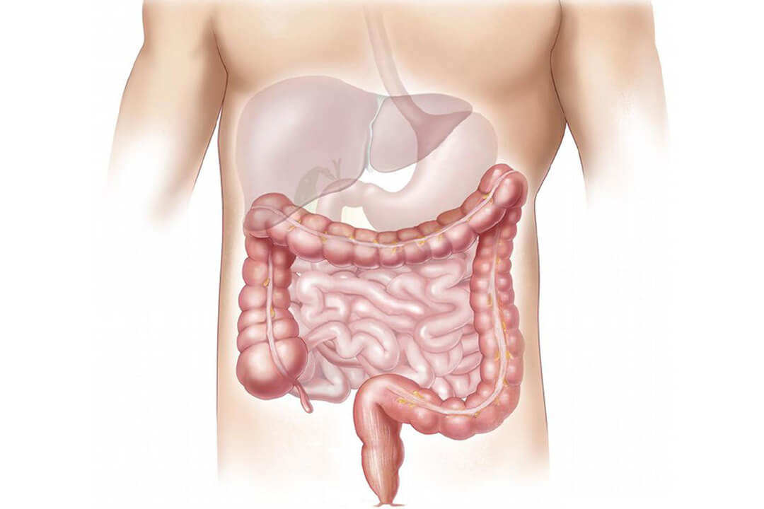 Gastroenterology& Hepatology section