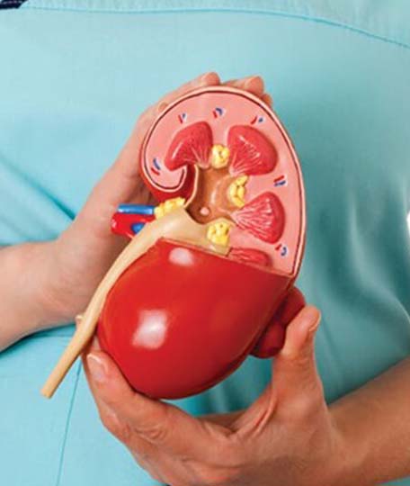 Kidney disease