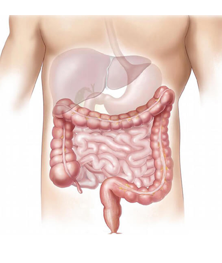 Gastroenterology & Hepatology